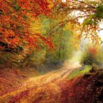 Altstadthotel Ilsenburg - Herbstlandschaft